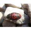 HUNTER BROMBA 3,5 cm