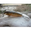 HUNTER HORN 4 cm kolor: E