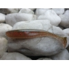 KEITECH EASY SHINER 2''/5,1cm - 404 RED CRAWDAD