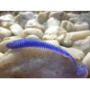 KEITECH SWING IMPACT 3''/7,6cm 308 MIDNIGHT BLUE
