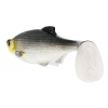 WESTIN RICKY THE ROACH SHADTAIL