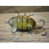 HUNTER BROMBA 3,3 cm