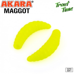 AKARA MAGGOT