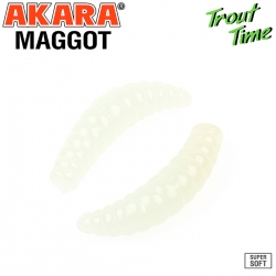 AKARA MAGGOT
