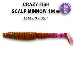 CRAZY FISH SCULP MINNOW 10CM 12-6