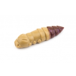 FISH UP PUPA