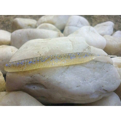 KEITECH SEXY IMPACT 2,8''/7,1cm 440 ELECTRIC SHAD