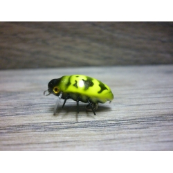 MICROBAIT VESPILLO