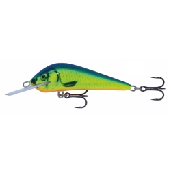 WOBLER KENART DYNAMIC